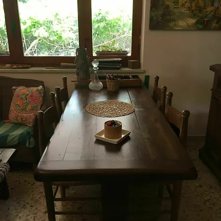 Maria Otel